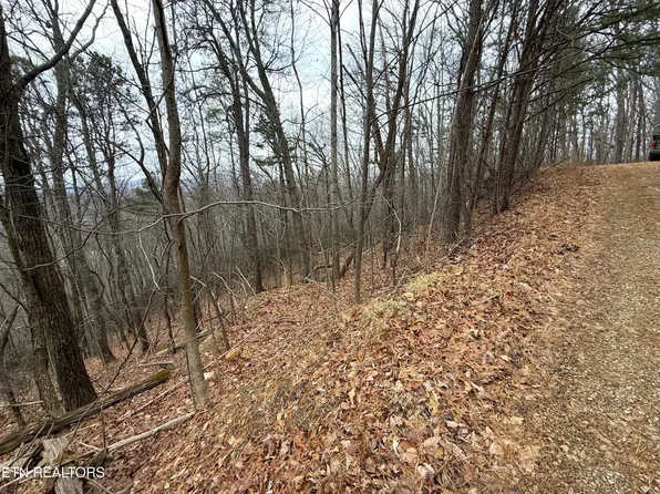 101 Green Forest Rd, Cosby, TN 37722