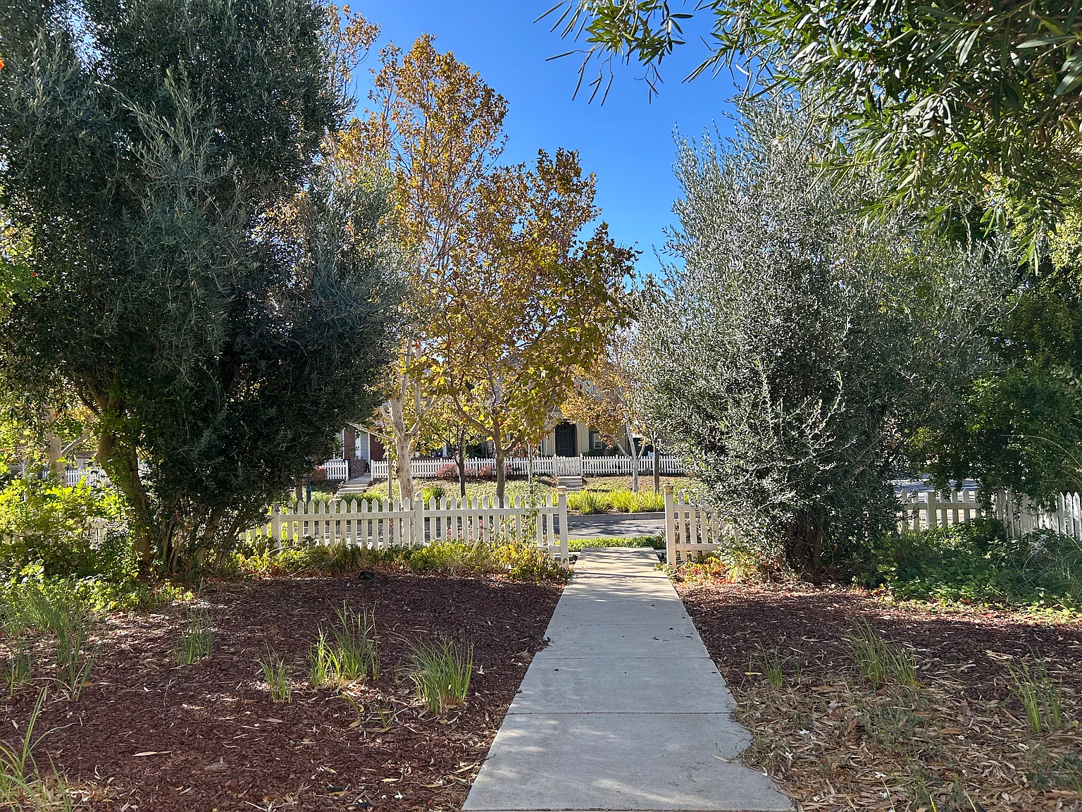 3bd 2.5ba, Mountain House — Photo 2