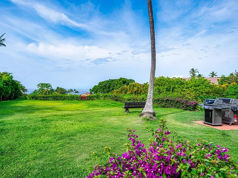 Wailea Alanui Dr — Photo 34