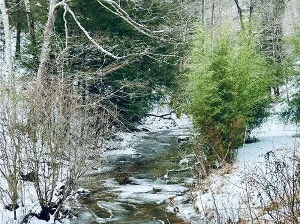 663 Obrion Rd, Duck, WV 25063