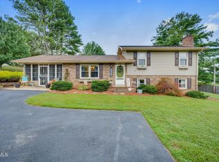 117 Morgan Ln, Fall Branch, TN 37656