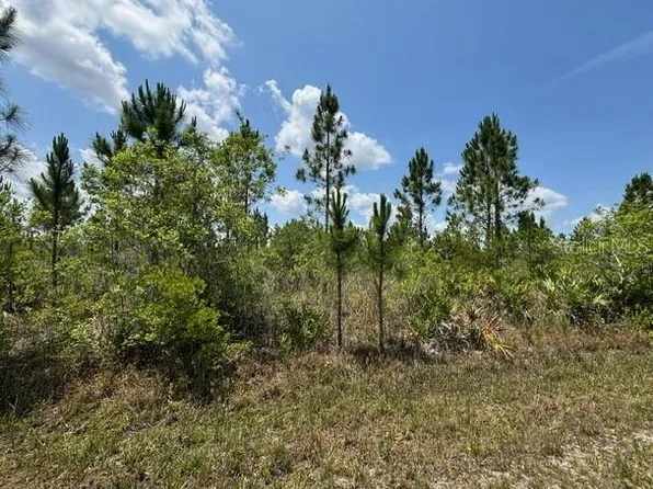 1015 Calliandra Dr Lot 7, Indian Lake Estates, FL 33855