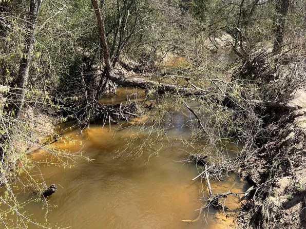 489 An County Rd, Montalba, TX 75853