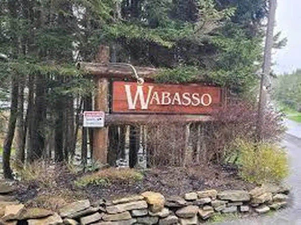 11 Wabasso, Snowshoe, WV 26209