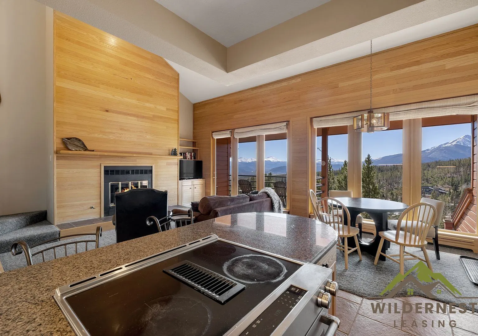 Top Floor Unit, Vaulted Ceilings, Gas Fireplace — Photo 1
