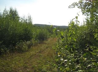 7250 Ahlgren Rd, Orr, MN 55771