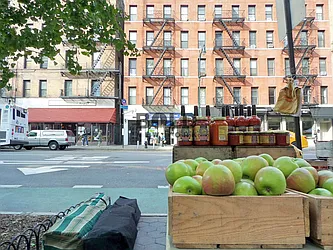 Rented by Bold New York