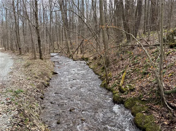 LOT 1 Neals Run Rd, Champion, PA 15622