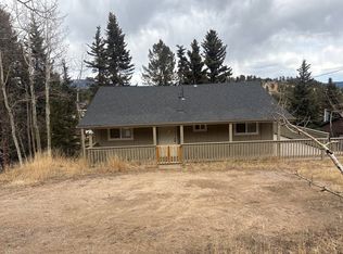 949 S Pine Dr, Bailey, CO 80421