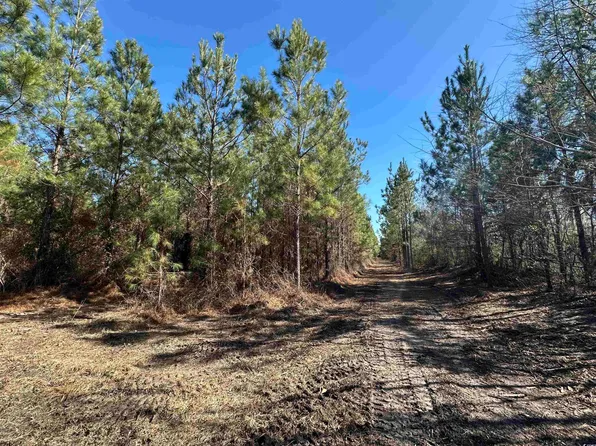 TBD Henneghan Rd., Coward, SC 29530
