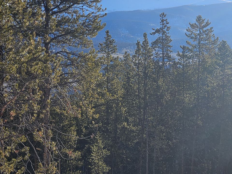 Eastward view of Mosquito Range across the Arkansas River Valley; 100% treed public BLM land borders the property.