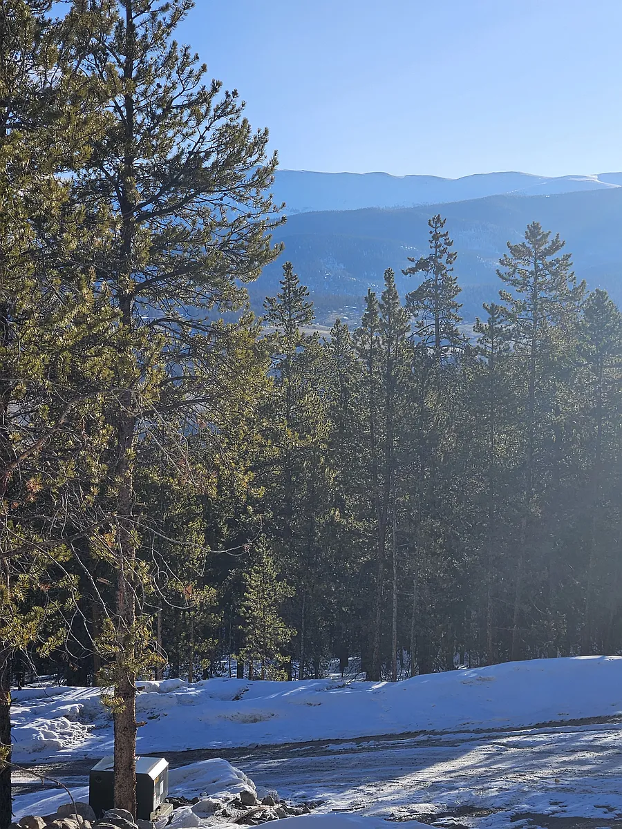 Eastward view of Mosquito Range across the Arkansas River Valley; 100% treed public BLM land borders the property. - 202 Pan Ark Dr #2