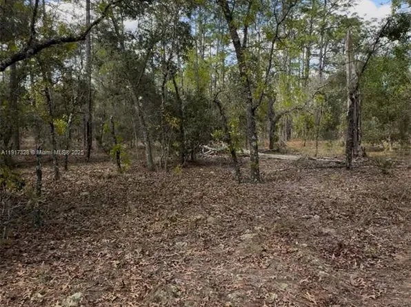 SW Southwest Indian Hill Dr, Dunnellon, FL 34431