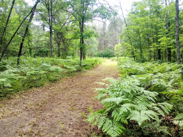 Brown Rd, Cadillac, MI 49601