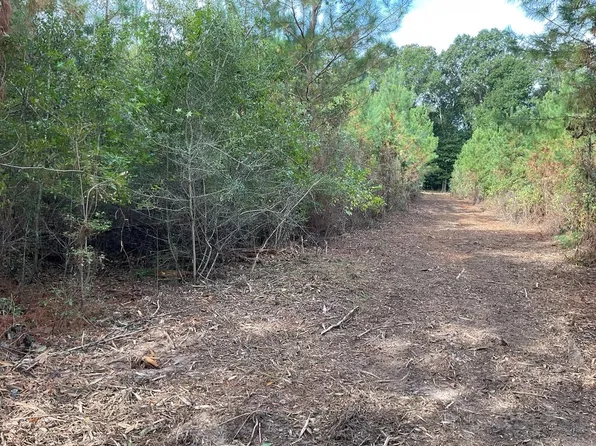500 Pond Creek Rd, Luverne, AL 36049