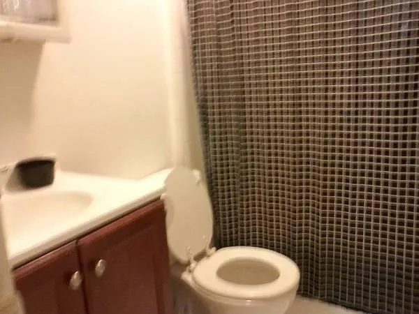 3109 S Racine Ave #1 — Photo 2