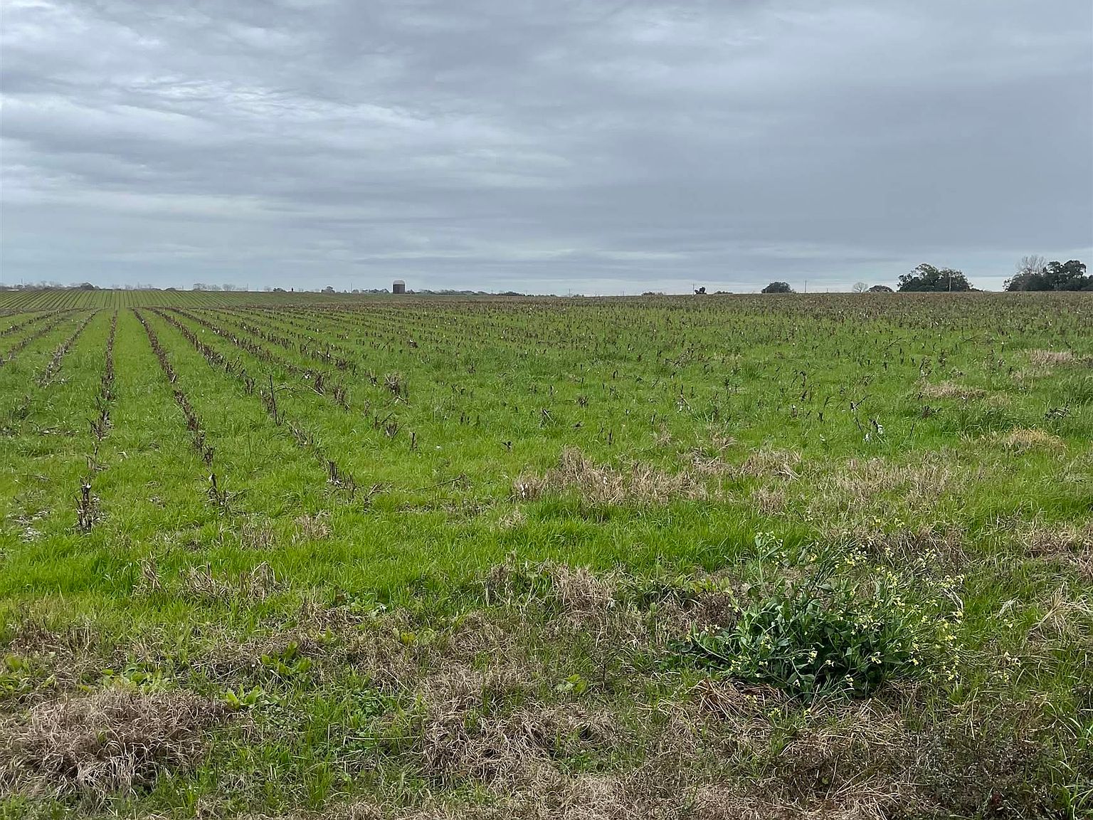 0 County Road 95, Elberta, AL 36530 MLS 356102 Zillow