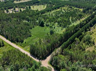 4608 N Spruce Ave, White Cloud, MI 49349