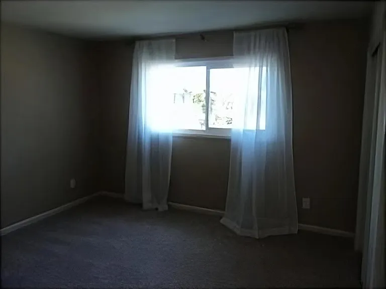 4423 Mount Lindsey Ave — Photo 8