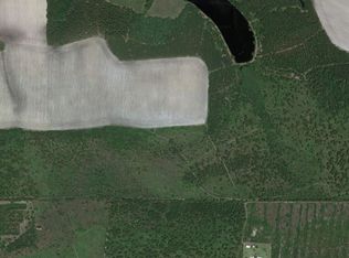 2550 Bay Carter Rd, Wilsonville, GA 31554