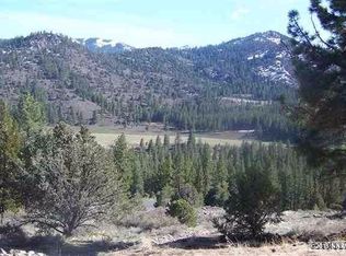 12 Silver Peak, Markleeville, CA 96120