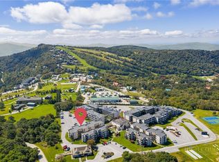 301 Pinnacle Inn Road #1313, Beech Mountain, NC 28604