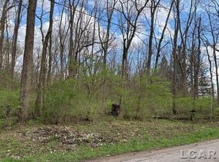 0 Black Hwy, Adrian, MI 49221