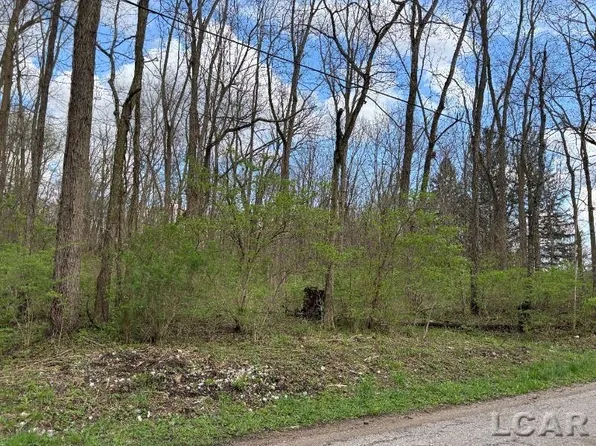 0 Black Hwy, Adrian, MI 49221