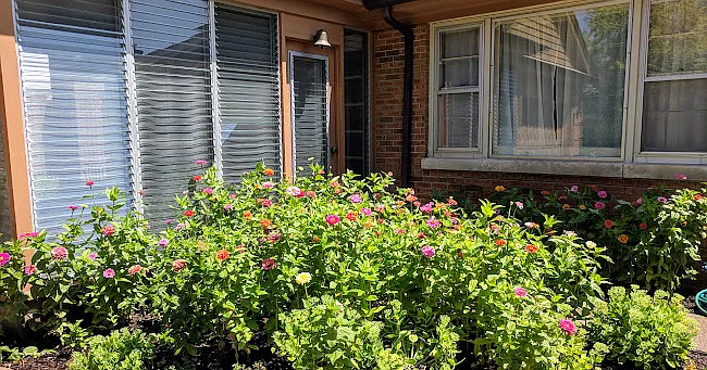 Large Back Yard - Owner Pays for Routine Lawn and Yard Maintenance