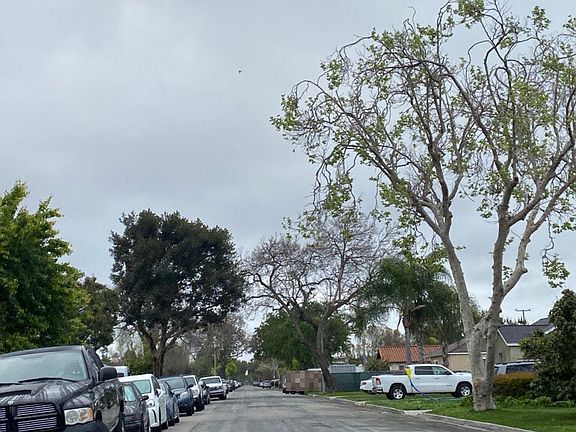3rd image of 4833 Blackthorne Ave