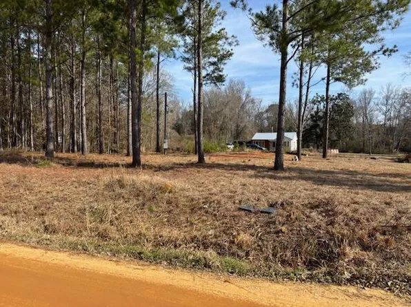 120 Hawkins Rd #1, Dozier, AL 36028