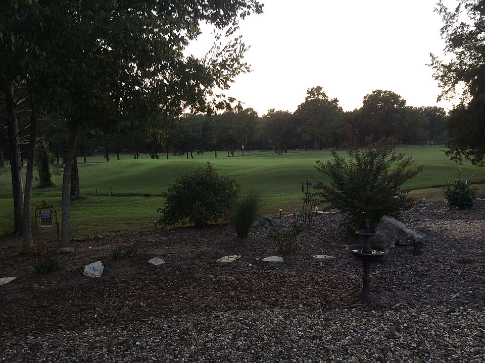 Backyard view summer