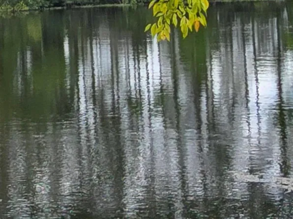 2682 KIMBERLY FOREST Drive E, Jacksonville, FL 32246