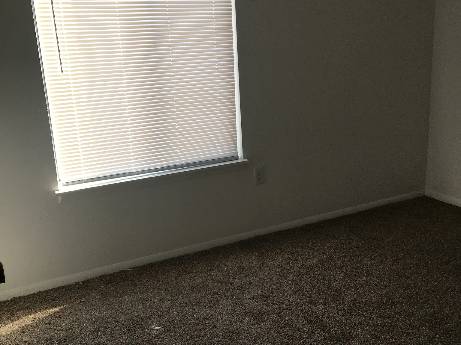 Country Acres — Photo 2