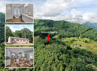 1177 Thompson Cove Rd, Clyde, NC 28721