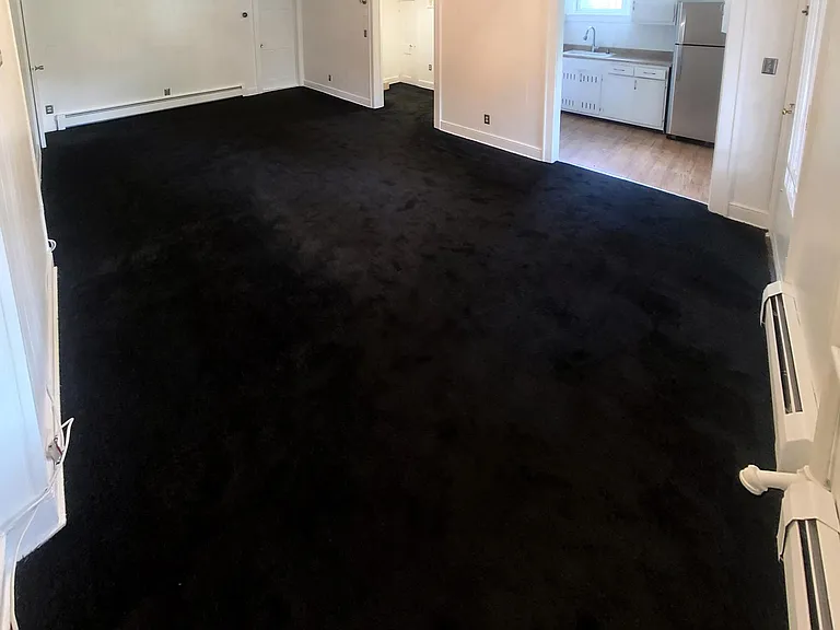 Living room/dining room