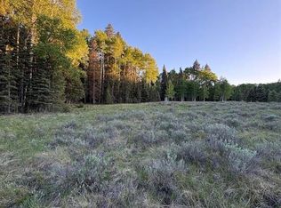 2150 Spruce Road, Cimarron, CO 81220