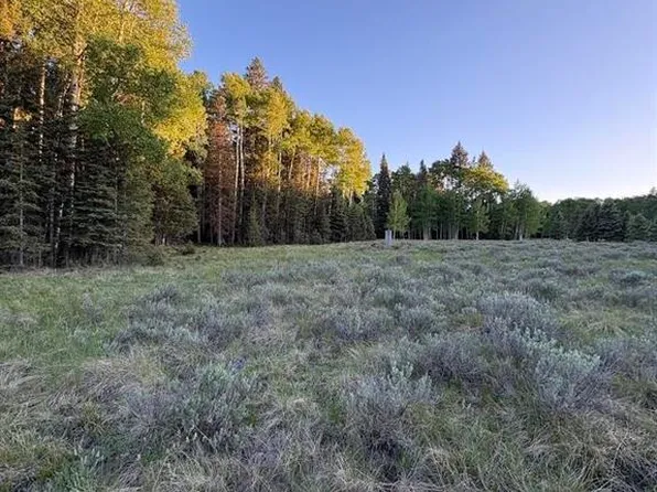 2150 Spruce Road, Cimarron, CO 81220