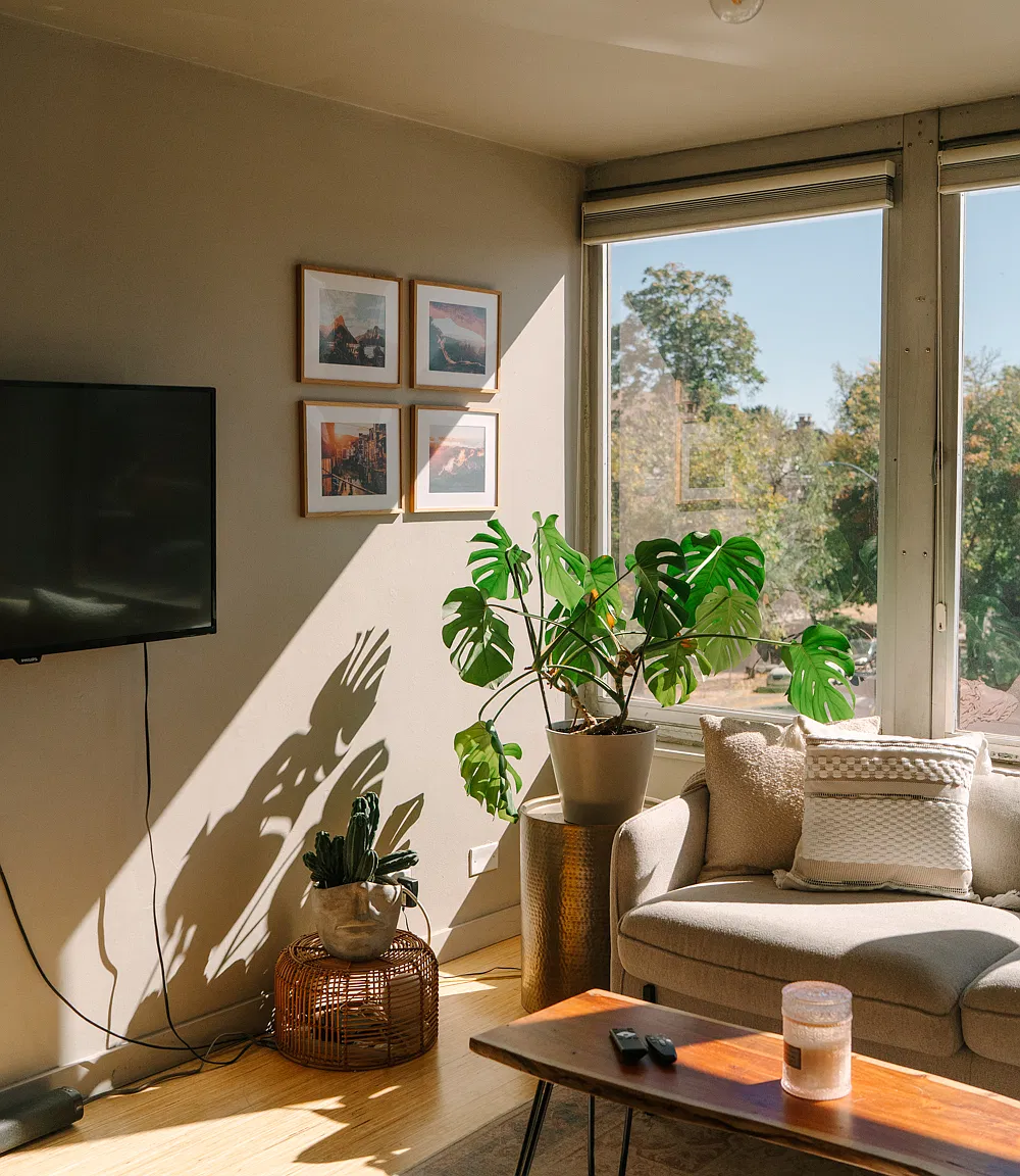 Studio, 346 sqft, $1,400 — Photo 3