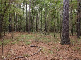 County Road 405 Lot 2, San Augustine, TX 75972