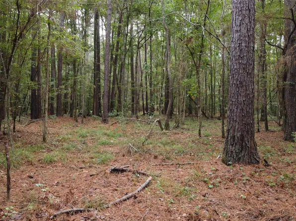 County Road 405 Lot 2, San Augustine, TX 75972