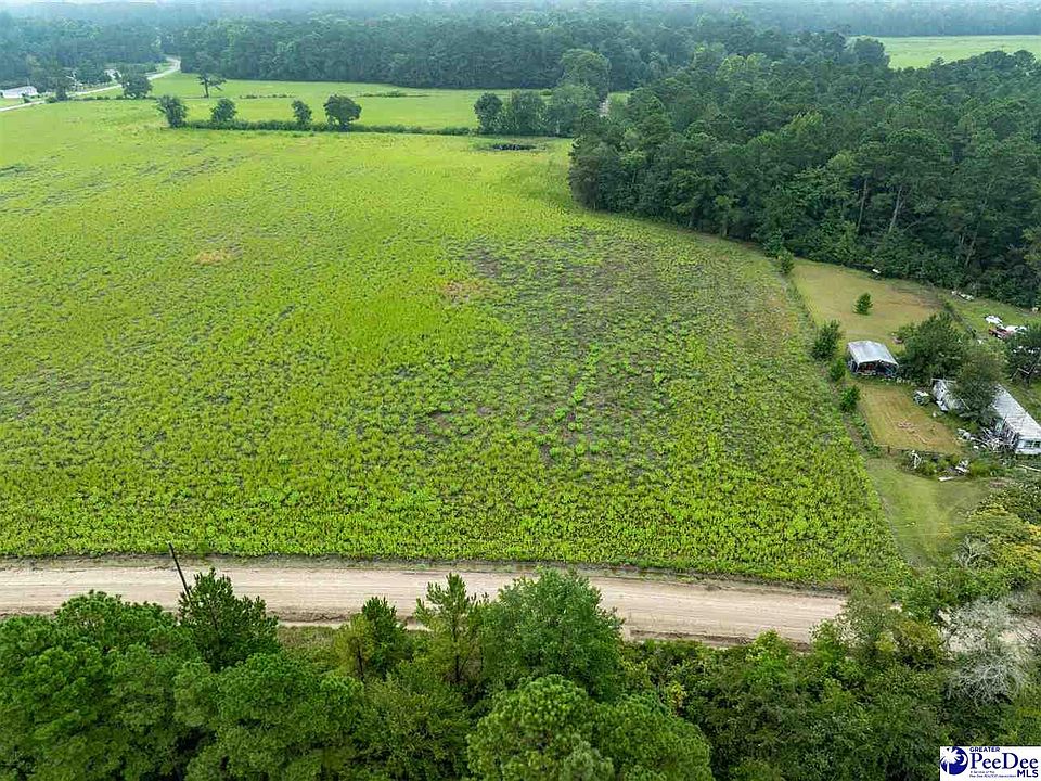 2nd image of LOT 1 Tansy Rd