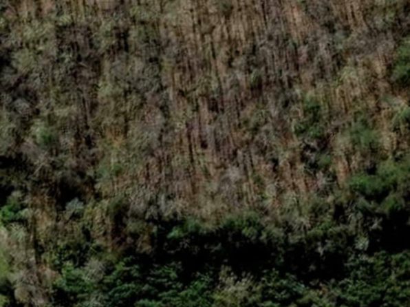Highway 370 Lots #5&6, Luttrell, TN 37779
