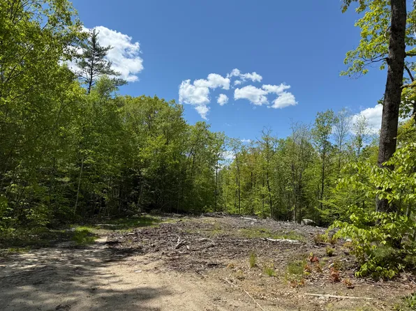 Lot 1 Naples Road, Harrison, ME 04040
