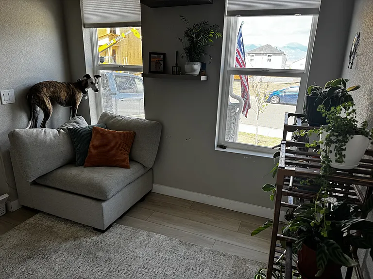 6707 Dragontail Ter — Photo 2