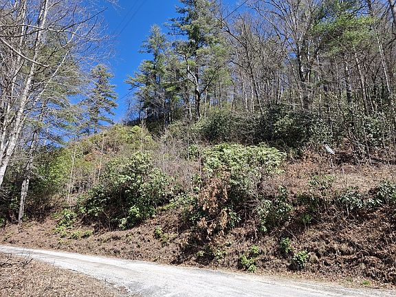 5th image of 0 Vess Owen Rd