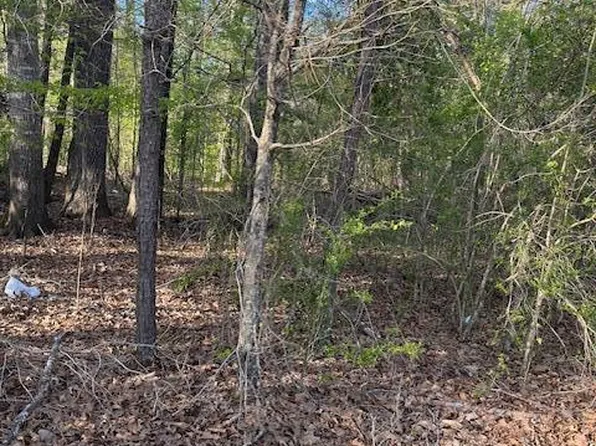 0 Gibson Rd, Vicksburg, MS 39180