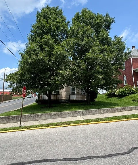 501 Maple St — Photo 22
