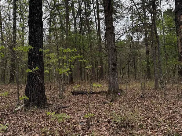 0 Julian, Hot Springs National Park, AR 71913
