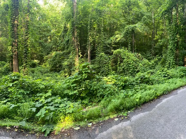 Lower Reinhart Rd, Dandridge, TN 37725